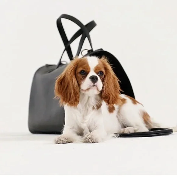 Stylish Black Dog Carrier by St Argo